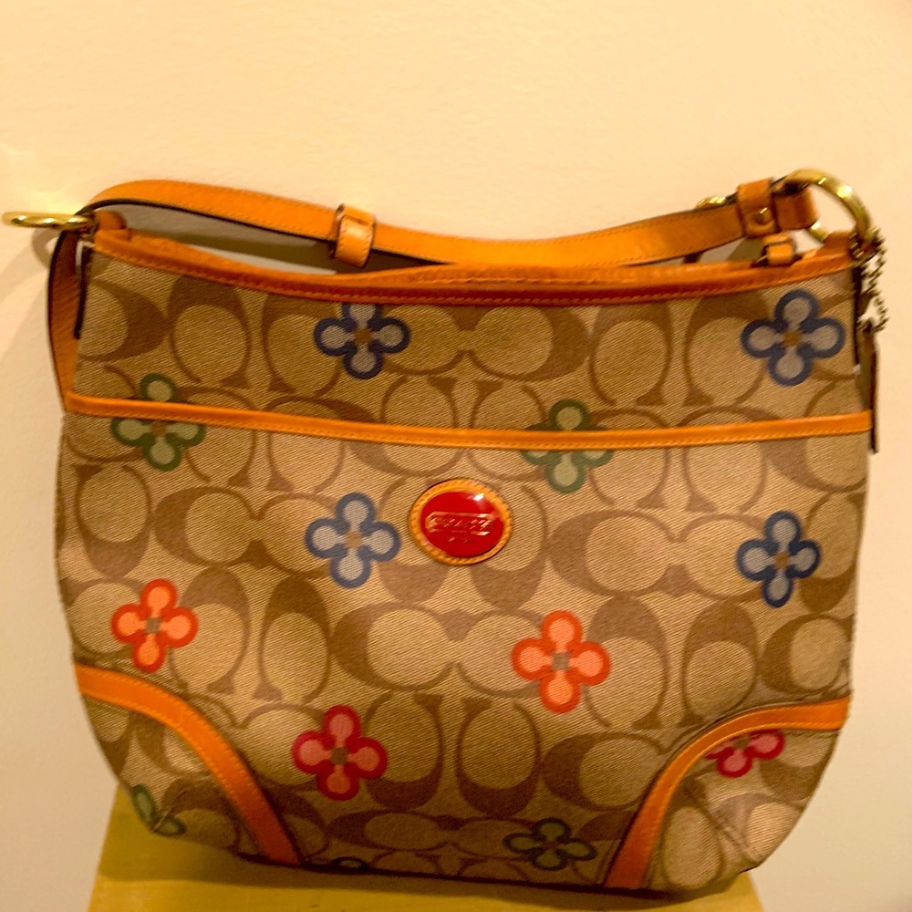 Brown Coach Bag